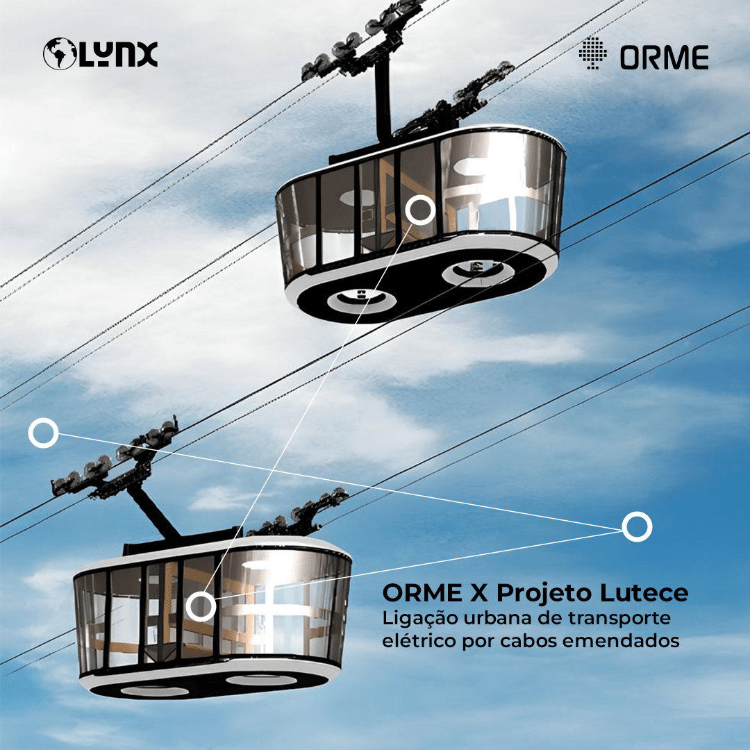 Lynx Case Image 3